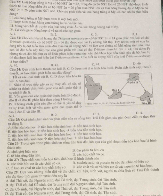 Loài bông trồng ở Mỹ có bộ NST    a  một qua nmều giu đoạn trung gian chuyền  te
2n=52 , trong đó có 26 NST lớn và 26 NST nhỏ được hình
thành từ loài bông châu Âu có bộ NST 2n=26 gồm toàn NST lớn và loài bông hoang đại ở Mỹ có bộ
NST 2n=26 gồm toàn NST nhỏ, Cho các phát biểu về loài bóng tròng ở Mỹ, có bao nhiều phát biểu
dūng?
1. Loài bông trồng ở Mỹ được xem là một loài mới.
II. Được hình thành bằng con đường lai xa và bội hóa.
III. Mang vật chất di truyền của loài bông châu Âu và loài bồng hoang đại ở Mỹ.
IV. Có kiểu gene đồng hợp từ về tất cả các cặp gene.
A. 4. B. 2. C. 3. D. 1.
Câu 23: Cho loài lúa mi hoang đại Triticum monococcum có bộ NST 2n=14 giao phần với loài cô dại
Triticum speltoldes có bộ NST 2n=14 thu được con lai F_1 nhưng bắt thụ. Tuy nhiên một số con lai
dạng này bị đột biến làm nhân đội toàn bộ số lượng NST và làm cho chúng có khả năng sinh sản. Các
con lai đột biển này tiếp tục cho giao phần với loài cô đại Tritieum tauschil (2n=14) thu được F_2
nhưng tất cá đều bất thụ và đề khắc phục hiện trang này, các nhà khoa học tiền hành gầy đa bội hóa F_2
thì thu được loài lùa mi hiện đại Triticum aestivum. Cho biết số lượng NST của loài Triticum aestivum
là bao nhiêu?
A. 40. B. 42 C. 44. D. 46
Câu 24: Quả trình hình thành các loài B, C, D được mô tả ở hình bên dưới. Phân tích hình này, theo lí
thuyết, có bao nhiêu phát biểu sau đây đúng?
I. Tất cả các loài sinh vật B, C, D được tiên hóa 
loài A ban đầu.
II. Nhân tổ trực tiếp gây ra sự thay đổi về tần 
allele và thành phân kiêu gene của mỗi quân thể 
sự cách li đja lí.
IIL. Vẫn gene của các quân thể thuộc loài B ở đảo
dảo II và đảo III phân hóa theo cùng 1 hướng.
IV. Khoảng cách giữa các đảo có thể là yếu tổ d
trì sự khác biệt về vốn gene giữa các quản thể
dào I, đào II và đảo III.
A. 1. B. 2. C. 3. D. 4.
Câu 25: Quá trình phát sinh và phát triển của sự sống trên Trái Đất gồm các giai đoạn diễn ra theo thứ
tự đùng là
A, tiến hóa hóa học → tiến hóa tiền sinh học → tiên hóa sinh học
B. tiền hóa hóa học → tiến hóa sinh học → tiên hóa tiên sinh học.
C. tiến hóa tiền sinh học → tiến hóa hóa học → tiến hóa sinh học.
D. tiến hóa tiền sinh học → tiến hóa sinh học → tiên hóa hóa học.
Cầu 26: Trong quá trình phát sinh sự sống trên trái đất, kết quả của giai đoạn tiến hóa hóa học là hình
thành nên
A. sinh giới hiện nay. B. đại phân tử hữu cơ.
C. tế bào sống đầu tiên. D. các hợp chất vô cơ.
Câu 27: Thực chất của tiến hoá tiền sinh học là hình thành nên
A. các chất hữu cơ từ các chất vô cơ. B. nucleic acid và protein từ các đại phân tử hữu cơ.
C. tế bào sơ khai từ các hợp chất hữu cơ. D. các chất vô cơ và hữu cơ từ các nguyên tổ hóa học.
Câu 28: Dựa vào những biển đội về địa chất, khí hậu, sinh vật, người ta chia lịch sử Trái Đất thành
các đại theo thời gian từ trước đến nay là
A. đại Thái cổ, đại Nguyên sinh, đại Cổ sinh, đại Trung sinh, đại Tân sinh.
B. đại Thái cổ, đại Cô sinh, đại Trung sinh đại Nguyên sinh, đại Tân sinh.
C. đại Cổ sinh, đại Nguyên sinh, đại Thái cổ, đại Trung sinh, đại Tân sinh.
D. đại Thái cổ, đại Nguyên sinh, đại Trung sinh, đại Cô sinh, đại Tân sinh.