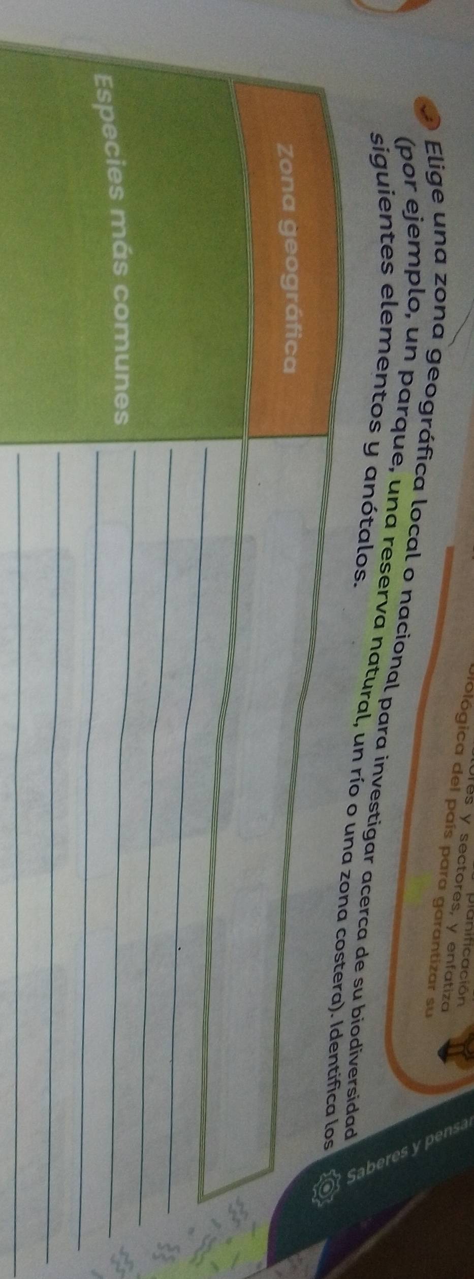 Jianiticación 
Tes y sectores, y enfatiza 
piológica del país para garantizar su 
Elige una zona geográfica local o nacional para investigar acerca de su biodiversidad 
siguientes elementos y anótalos. 
(por ejemplo, un parque, una reserva natural, un río o una zona costera). Identifica los so 
Zona geográfica 
_ 
_ 
_ 
Especies más comunes_ 
_ 
_ 
_