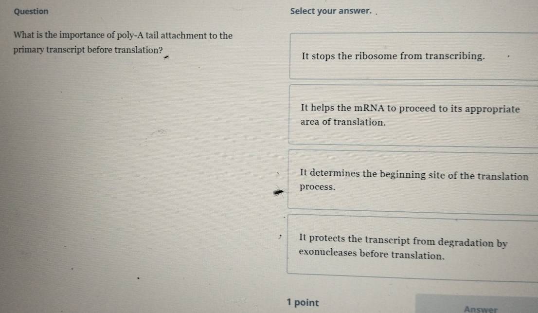 Question Select your answer. 
What is the importance of poly-A tail attachment to the
primary transcript before translation?
It stops the ribosome from transcribing.
It helps the mRNA to proceed to its appropriate
area of translation.
It determines the beginning site of the translation
process.
It protects the transcript from degradation by
exonucleases before translation.
1 point Answer