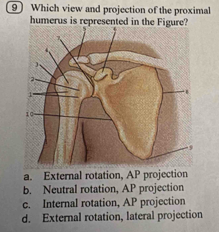 Which view and projection of the proximal
humerus is represented in the Figure?
a. External rotation, AP projection
b. Neutral rotation, AP projection
c. Internal rotation, AP projection
d. External rotation, lateral projection