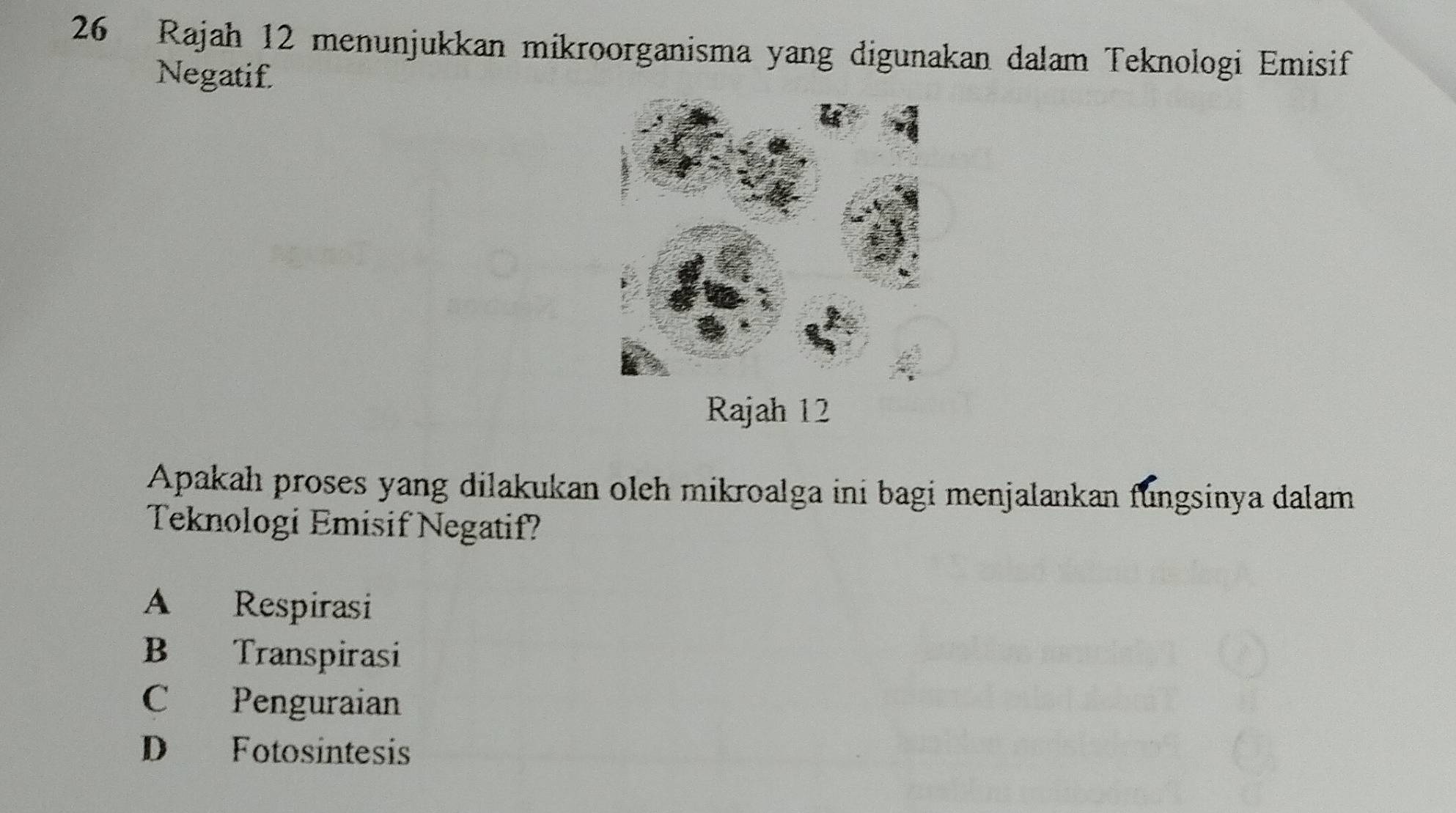 Rajah 12 menunjukkan mikroorganisma yang digunakan dalam Teknologi Emisif
Negatif
Apakah proses yang dilakukan oleh mikroalga ini bagi menjalankan fungsinya dalam
Teknologi Emisif Negatif?
A Respirasi
B Transpirasi
C Penguraian
D Fotosintesis