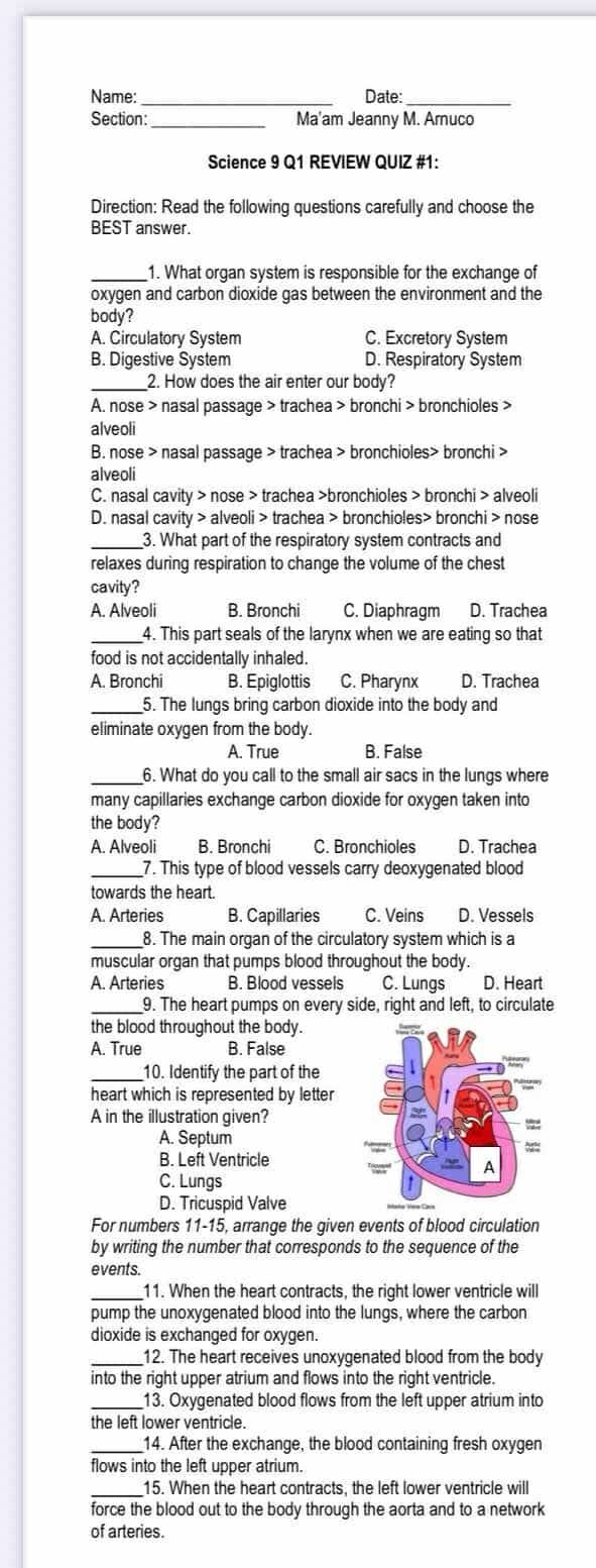 Name:_ Date:_
Section: _Ma'am Jeanny M. Arnuco
Science 9 Q1 REVIEW QUIZ #1:
Direction: Read the following questions carefully and choose the
BEST answer.
_1. What organ system is responsible for the exchange of
oxygen and carbon dioxide gas between the environment and the
body?
A. Circulatory System C. Excretory System
B. Digestive System D. Respiratory System
_2. How does the air enter our body?
A. nose > nasal passage > trachea > bronchi > bronchioles >
alveoli
B. nose > nasal passage > trachea > bronchioles> bronchi >
alveoli
C. nasal cavity > nose > trachea >bronchioles > bronchi > alveoli
D. nasal cavity > alveoli > trachea > bronchioles> bronchi > nose
_3. What part of the respiratory system contracts and
relaxes during respiration to change the volume of the chest
cavity?
A. Alveoli B. Bronchi C. Diaphragm D. Trachea
_4. This part seals of the larynx when we are eating so that
food is not accidentally inhaled.
A. Bronchi B. Epiglottis C. Pharynx D. Trachea
_5. The lungs bring carbon dioxide into the body and
eliminate oxygen from the body.
A. True B. False
_6. What do you call to the small air sacs in the lungs where
many capillaries exchange carbon dioxide for oxygen taken into
the body?
A. Alveoli B. Bronchi C. Bronchioles D. Trachea
_7. This type of blood vessels carry deoxygenated blood
towards the heart.
A. Arteries B. Capillaries C. Veins D. Vessels
_8. The main organ of the circulatory system which is a
muscular organ that pumps blood throughout the body.
A. Arteries B. Blood vessels C. Lungs D. Heart
_9. The heart pumps on every side, right and left, to circulate
the blood throughout the body.
A. True B. False
_10. Identify the part of the
heart which is represented by letter
A in the illustration given?
A. Septum
B. Left Ventricle
C. Lungs
D. Tricuspid Valve
For numbers 11-15, arrange the given events of blood circulation
by writing the number that corresponds to the sequence of the
events.
_11. When the heart contracts, the right lower ventricle will
pump the unoxygenated blood into the lungs, where the carbon
dioxide is exchanged for oxygen.
_12. The heart receives unoxygenated blood from the body
into the right upper atrium and flows into the right ventricle.
_13. Oxygenated blood flows from the left upper atrium into
the left lower ventricle.
_14. After the exchange, the blood containing fresh oxygen
flows into the left upper atrium.
_15. When the heart contracts, the left lower ventricle will
force the blood out to the body through the aorta and to a network
of arteries.