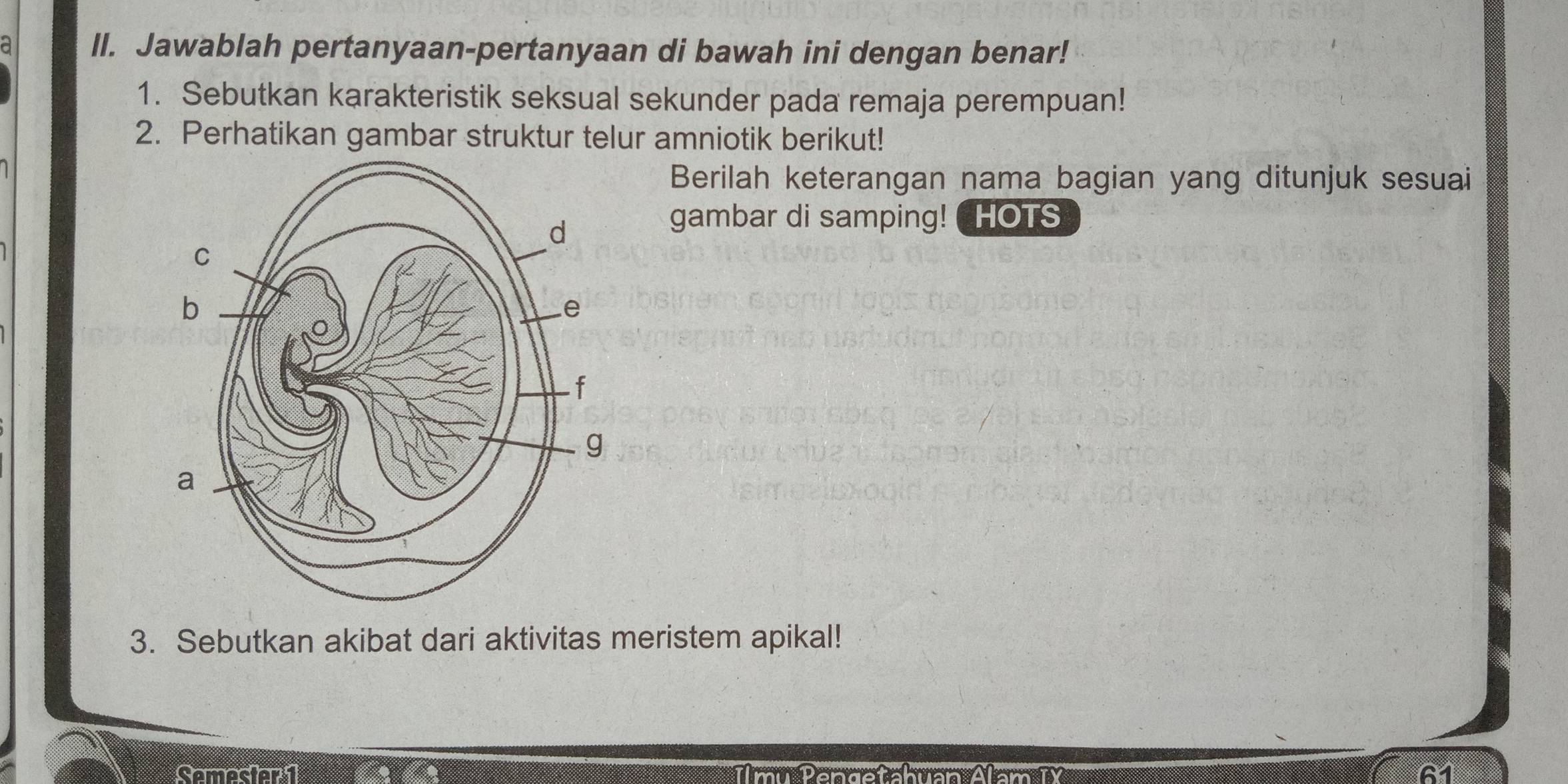 a Il. Jawablah pertanyaan-pertanyaan di bawah ini dengan benar! 
1. Sebutkan karakteristik seksual sekunder pada remaja perempuan! 
2. Perhatikan gambar struktur telur amniotik berikut! 
Berilah keterangan nama bagian yang ditunjuk sesuai 
gambar di samping! HOTS 
3. Sebutkan akibat dari aktivitas meristem apikal! 
Semesaril n Pan ça tahvaa Alam 61