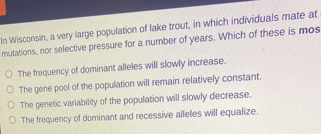 In Wisconsin, a very large population of lake trout, in which individuals mate at
mutations, nor selective pressure for a number of years. Which of these is mos
The frequency of dominant alleles will slowly increase.
The gene pool of the population will remain relatively constant.
The genetic variability of the population will slowly decrease.
The frequency of dominant and recessive alleles will equalize.