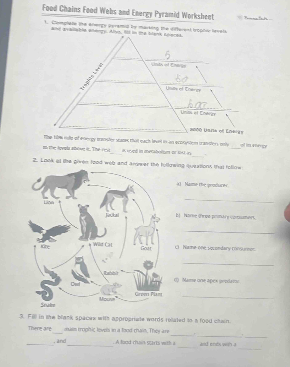Solved: Food Chains Food Webs and Energy Pyramid Worksheet t. Complete ...