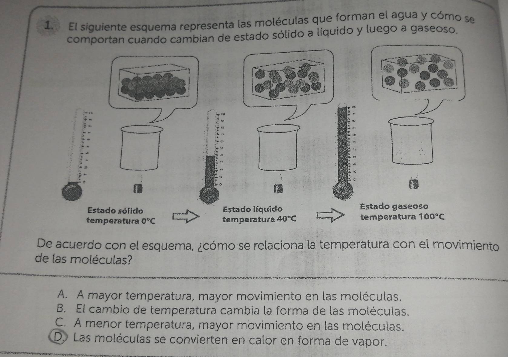 El siguiente esquema representa las moléculas que forman el agua y cómo se
comportan cuando cambian de estado sólido a líquido y luego a gaseoso.
Estado sólido Estado líquido Estado gaseoso
temperatura 0°C temperatura 40°C temperatura 100°C
De acuerdo con el esquema, ¿cómo se relaciona la temperatura con el movimiento
de las moléculas?
A. A mayor temperatura, mayor movimiento en las moléculas.
B. El cambio de temperatura cambia la forma de las moléculas.
C. A menor temperatura, mayor movimiento en las moléculas.
D. Las moléculas se convierten en calor en forma de vapor.