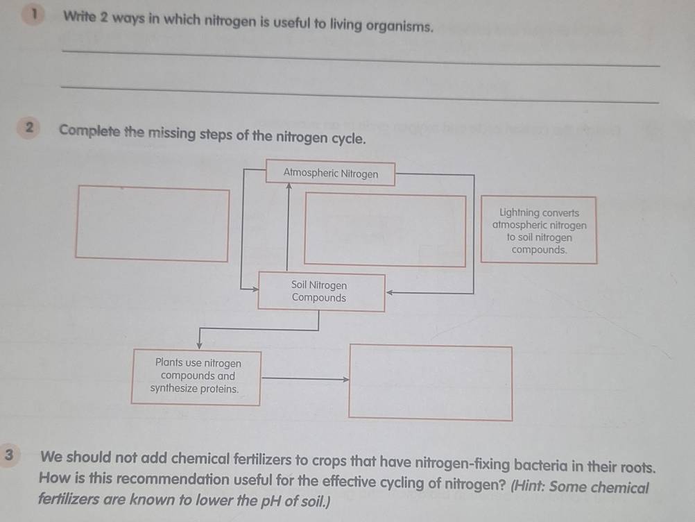 Write 2 ways in which nitrogen is useful to living organisms. 
_ 
_ 
2 Complete the missing steps of the nitrogen cycle. 
3 We should not add chemical fertilizers to crops that have nitrogen-fixing bacteria in their roots. 
How is this recommendation useful for the effective cycling of nitrogen? (Hint: Some chemical 
fertilizers are known to lower the pH of soil.)