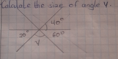 Calclate the size of angle Y.