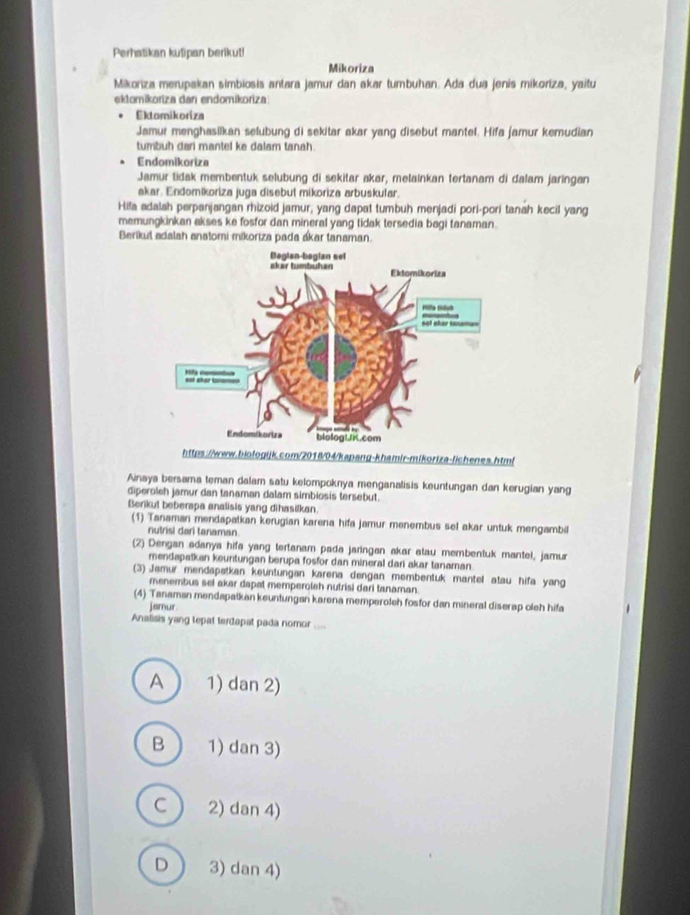 Perhatikan kutipan berikut!
Mikoriza
Mikoriza merupakan simbiosis antara jamur dan akar tumbuhan. Ada dua jenis mikoriza, yaitu
ektomikoriza dan endomikoriza
Ektomikoriza
Jamur menghasilkan selubung di sekitar akar yang disebut mantel. Hifa jamur kemudian
tumbuh dari mantel ke dalam tanah.
Endomikoriza
Jamur lidak membentuk selubung di sekitar akar, melainkan tertanam di dalam jaringan
akar. Endomikoriza juga disebut mikoriza arbuskutar.
Hifa adalsh perpanjangan rhizoid jamur, yang dapat tumbuh menjadi pori-pori tanah kecil yang
memungkinkan akses ke fosfor dan mineral yang tidak tersedia bagi tanaman.
Berikut adalah anstomi mikoriza pada akar tanaman.
https://www.biologijk.com/2018/04/kapang-khamir-mikoriza-lichenes.html
Ainaya bersama teman dalam satu kelompoknya menganalisis keuntungan dan kerugian yang
diperolch jamur dan tanaman dalam simbiosis tersebut.
Berikut beberapa analisis yang dihasilkan.
(1) Tanaman mendapatkan kerugian karena hifa jamur menembus sel akar untuk mengambil
nutrisi dari tanaman.
(2) Dengan adanya hifa yang tertanam pada jaringan akar atau membentuk mantel, jamur
mendapatken keuntungan berupa fosfor dan mineral dan akar tanaman
(3) Jemur mendapatkan keuntungan karena dengan membentuk mantel atau hifa yang
menembus sel akar dapat memperoleh nutrisi dari tanaman.
(4) Tanaman mendapalkan keuntungan karena memperoleh fosfor dan mineral diserap oleh hifa
jsmur
Analisis yang tepat terdapat pada nomor ....
A 1) dan 2)
B 1) dan 3)
C 2) dan 4)
D 3) dan 4)