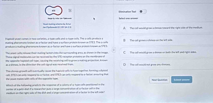 a/q 3 Elimination Tool
Image bry Artur Jan Fialkowski Select one answer
Yeast mating scheme by Artur
Jan Fijałkownki (CC BY-SA 2.5 A The cell would grow a shmoo toward the right side of the medium.
Haploid yeast comes in two varleties, a-type cells and α -type cells. The a cells produce a B The cell grows a shmoo on the left side
mating pheromone known as a-factor and have a surface protein known as STE2. The α cells
produce a mating pheromone known as α -factor and have a surface protein known as STE3.
The yeast cells release their mating factors into the surrounding area, as shown in the image. C The cell would grow a shmoo on both the left and right sides.
These signal molecules can be received by the STE receptor proteins on the membrane of
the opposite haploid cell type, causing the receiving cell to grow a mating projection, known
as a shmoo, in the direction the cell signal was received from. D The cell would not grow any shmoos.
This shmoo growth will eventually cause the haploid cells to fuse together, forming a diploid
cell. STE2 can only respond to α -factor, and STE3 can only respond to a-factor, ensuring that
the yeast mates with cells of the opposite type. Next Question Submit answer
Which of the following predicts the response of a colony of α -type cells positioned in the
center of a petri dish if a researcher puts a large concentration of α -factor cell in the
medium on the right side of the dish and a large concentration of a-factor in the left side?