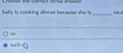 Choese the corredl (erse arswer
Sally is cooking dinner because she is _nice
10
such a