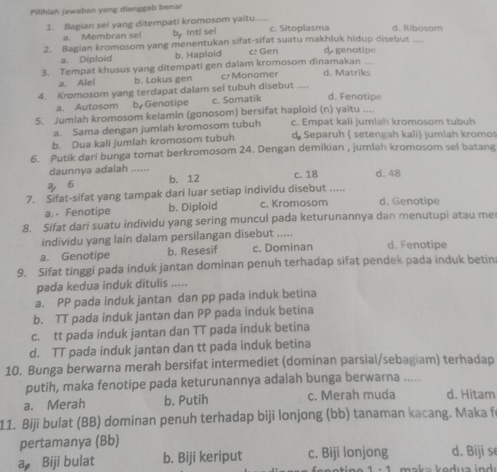 Pilihlah jawaban yang dianggab benar
1. Bagian sel yang ditempati kromosom yaitu....
a. Membran sel by Inti sel c. Sitoplasma d. Ribosom
2. Bagian kromosom yang menentukan sifat-sifat suatu makhluk hidup disebut ....
a. Diploid b. Haploid c: Gen d genotipe
3. Tempat khusus yang ditempati gen dalam kromosom dinamakan_
a. Alel b. Lokus gen c: Monomer d. Matriks
4. Kromosom yang terdapat dalam sel tubuh disebut .... d. Fenotipe
a. Autosom b Genotipe c. Somatik
5. Jumlah kromosom kelamin (gonosom) bersifat haploid (n) yaitu ....
a. Sama dengan jumlah kromosom tubuh c. Empat kali jumlah kromosom tubuh
b. Dua kali jumlah kromosom tubuh d Separuh ( setengah kali) jumlah kromos
6. Putik dari bunga tomat berkromosom 24. Dengan demikian , jumlah kromosom sel batang
daunnya adalah ...... c. 18 d. 48
a,⩾6 b. 12
7. Sifat-sifat yang tampak dari luar setiap individu disebut .....
a. ⋅ Fenotipe b. Diploid c. Kromosom d. Genotipe
8. Sifat dari suatu individu yang sering muncul pada keturunannya dan menutupi atau me
individu yang lain dalam persilangan disebut .....
a. Genotipe b. Resesif c. Dominan
d. Fenotipe
9. Sifat tinggi pada induk jantan dominan penuh terhadap sifat pendek pada induk betin:
pada kedua induk ditulis .....
a. PP pada induk jantan dan pp pada induk betina
b. TT pada induk jantan dan PP pada induk betina
c. tt pada induk jantan dan TT pada induk betina
d. TT pada induk jantan dan tt pada induk betina
10. Bunga berwarna merah bersifat intermediet (dominan parsial/sebagiam) terhadap
putih, maka fenotipe pada keturunannya adalah bunga berwarna .....
a. Merah b. Putih c. Merah muda d. Hitam
11. Biji bulat (BB) dominan penuh terhadap biji lonjong (bb) tanaman kacang. Maka f
pertamanya (Bb)
a Biji bulat b. Biji keriput c. Biji lonjong d. Biji se
1