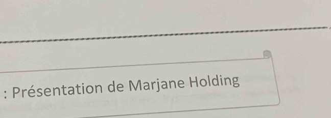 Présentation de Marjane Holding