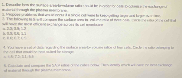 Describe how the surface area-to-volume ratio should be in order for cells to optirnize the exchange of
material through the plasma membrane.
2. Propose problems that would occur if a single cell were to keep getting larger and larger over time.
3. The following lists will compare the surface area-to- volume ratio of three cells. Circle the ratio of the cell that
will have the most efficient exchange across its cell membrane
a. 2.0; 0.9; 1.2
b. 0.9; 0.6; 1.1
c. 0.6; 0.7; 0.5
4. You have a set of data regarding the surface area-to- volume ratios of four cells. Circle the ratio belonging to
the cell that would be best suited for storage.
a. 4.5; 7.2; 3.1; 5.5
5. Calculate and compare the SA:V ratios of the cubes below. Then identify which will have the best exchange
of material through the plasma membrane.