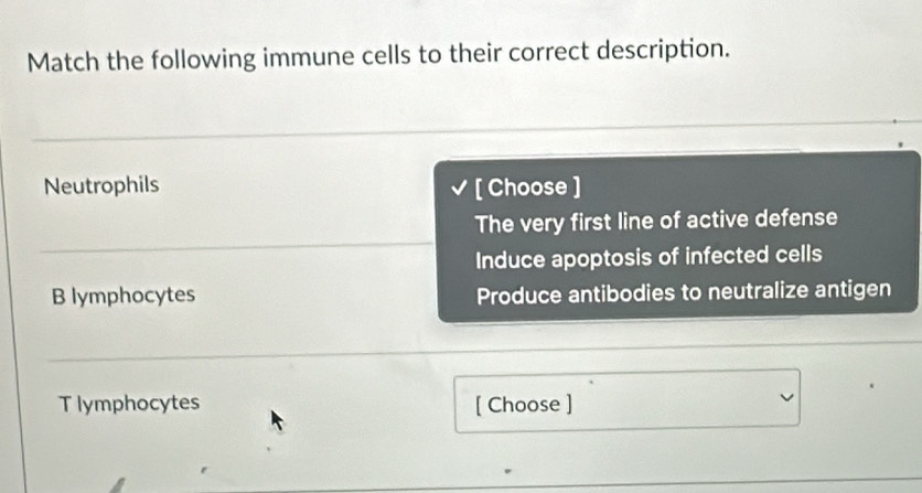 Match the following immune cells to their correct description.
Neutrophils [ Choose ]
The very first line of active defense
Induce apoptosis of infected cells
B lymphocytes Produce antibodies to neutralize antigen
T lymphocytes [ Choose ]