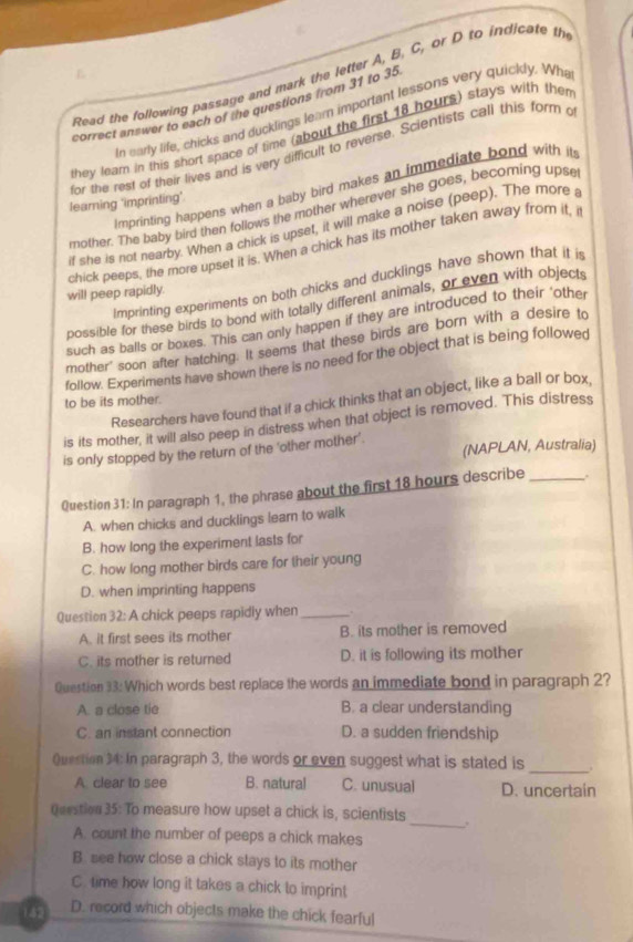 Read the following passage and mark the letter A, B, C, or D to indicate th
correct answer to each of the questions from 31 to 35
In early life, chicks and ducklings learn important lessons very quickly. Whe
they learn in this short space of time (about the first 18 hours) stays with then
for the rest of their lives and is very difficult to reverse. Scientists call this form o
Imprinting happens when a baby bird makes an immediate bond with it 
learning 'imprinting’.
mother. The baby bird then follows the mother wherever she goes, becomning upse
if she is not nearby. When a chick is upset, it will make a noise (peep). The more 
chick peeps, the more upset it is. When a chick has its mother taken away from it, i
Imprinting experiments on both chicks and ducklings have shown that it i
will peep rapidly.
possible for these birds to bond with totally different animals, or even with objects
such as balls or boxes. This can only happen if they are introduced to their 'other
mother' soon after hatching. It seems that these birds are born with a desire to
follow. Experiments have shown there is no need for the object that is being followed
Researchers have found that if a chick thinks that an object, like a ball or box,
to be its mother.
is its mother, it will also peep in distress when that object is removed. This distress
is only stopped by the return of the 'other mother'. (NAPLAN, Australia)
Question 31: In paragraph 1, the phrase about the first 18 hours describe _.
A. when chicks and ducklings learn to walk
B. how long the experiment lasts for
C. how long mother birds care for their young
D. when imprinting happens
Question 32: A chick peeps rapidly when _.
A. it first sees its mother B. its mother is removed
C. its mother is returned D. it is following its mother
Question 33: Which words best replace the words an immediate bond in paragraph 2?
A. a close tie B. a clear understanding
C. an instant connection D. a sudden friendship
Question 34: In paragraph 3, the words or even suggest what is stated is _.
A clear to see B. natural C. unusual D. uncertain
_
Questien 35: To measure how upset a chick is, scientists
A. count the number of peeps a chick makes
B. see how close a chick stays to its mother
C. time how long it takes a chick to imprint
142 D. record which objects make the chick fearful