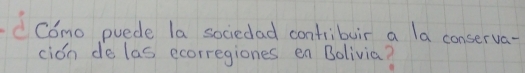 C6mo puede la sociedad contribuir a la conserva- 
cion de las ecorregiones en Bolivia?