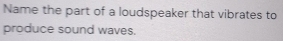 Name the part of a loudspeaker that vibrates to 
produce sound waves.