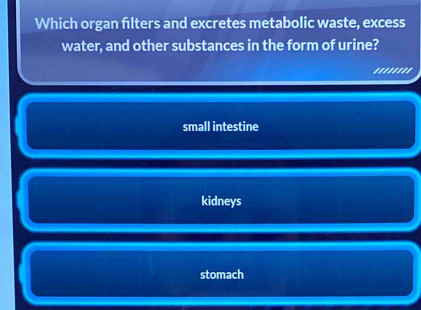 Which organ flters and excretes metabolic waste, excess
water, and other substances in the form of urine?
''''''''
small intestine
kidneys
stomach