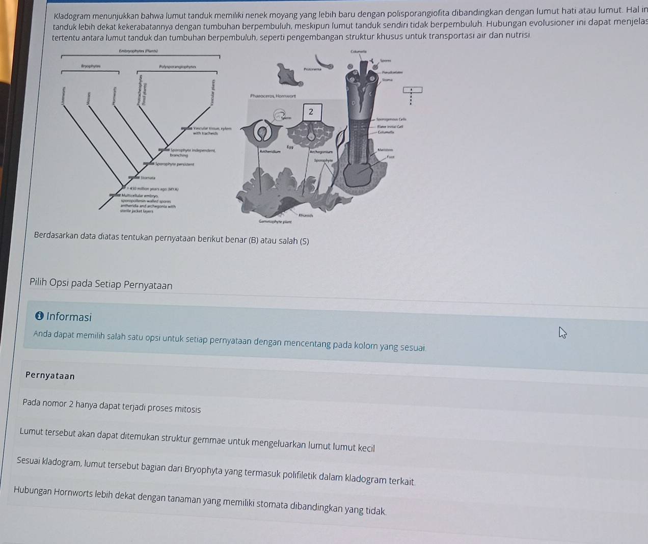 Kladogram menunjukkan bahwa lumut tanduk memiliki nenek moyang yang lebih baru dengan polisporangiofita dibandingkan dengan lumut hati atau lumut. Hal in 
tanduk lebih dekat kekerabatannya dengan tumbuhan berpembuluh, meskipun lumut tanduk sendiri tidak berpembuluh. Hubungan evolusioner ini dapat menjelas 
tertentu antara lumut tanduk dan tumbuhan berpembuluh, seperti pengembangan struktur khusus untuk transportasi air dan nutrisi 
Berdasarkan data diatas tentukan pernyataan berikut benar (B) atau salah (S) 
Pilih Opsi pada Setiap Pernyataan 
Informasi 
Anda dapat memilih salah satu opsi untuk setiap pernyataan dengan mencentang pada kolorn yang sesuai. 
Pernyataan 
Pada nomor 2 hanya dapat terjadi proses mitosis 
Lumut tersebut akan dapat ditemukan struktur gemmae untuk mengeluarkan lumut lumut kecil 
Sesuai kladogram, lumut tersebut bagian dari Bryophyta yang termasuk polifiletik dalam kladogram terkait. 
Hubungan Hornworts lebih dekat dengan tanaman yang memiliki stomata dibandingkan yang tidak.