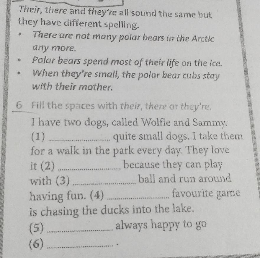 Their, there and they're all sound the same but 
they have different spelling. 
There are not many polar bears in the Arctic 
any more. 
Polar bears spend most of their life on the ice. 
When they're small, the polar bear cubs stay 
with their mother. 
6 Fill the spaces with their, there or they’re. 
I have two dogs, called Wolfie and Sammy. 
(1) _quite small dogs. I take them 
for a walk in the park every day. They love 
it (2) _because they can play 
with (3) _ball and run around 
having fun. (4) _favourite game 
is chasing the ducks into the lake. 
(5)_ always happy to go 
(6) _.