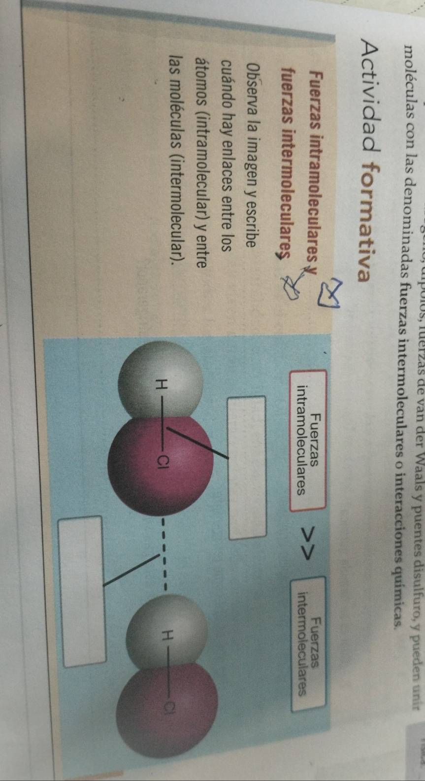 los, fuerzás de van der Waals y puentes disulfuro, y pueden unir 
moléculas con las denominadas fuerzas intermoleculares o interacciones químicas. 
Actividad formativa 
Fuerzas intramoleculares 
fuerzas intermoleculares 
Observa la imagen y escribe 
cuándo hay enlaces entre los 
átomos (intramolecular) y entre 
las moléculas (intermolecular).