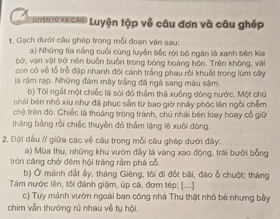 Luyen t0 vA CAU) Luyện tập về câu đơn và câu ghép 
1. Gạch dưới câu ghép trong mỗi đoạn văn sau: 
a) Những tia nắng cuối cùng luyến tiếc rời bỏ ngàn lá xanh bên kia 
bờ, vạn vật trở nên buồn buồn trong bóng hoàng hôn. Trên không, vài 
con cò về tổ trẻ đập nhanh đôi cánh trắng phau rồi khuất trong lùm cây 
là rậm rạp. Những đám mây trắng đã ngả sang màu sậm. 
b) Tôi ngắt một chiếc lá sòi đỏ thẩm thả xuống dòng nước. Một chú 
nhái bén nhỏ xiu như đã phục sẵn từ bao giờ nhảy phóc lên ngồi chếm 
chệ trên đó. Chiếc là thoáng tròng trành, chú nhái bén loay hoay cổ giữ 
thăng bằng rồi chiếc thuyền đỏ thắm lặng lẽ xuôi dòng. 
2. Đặt dấu // giữa các vế câu trong mỗi câu ghép dưới đây: 
a) Mùa thu, những khu vườn đầy lá vàng xao động, trái bưởi bỗng 
tròn căng chờ đêm hội trăng rằm phá cỗ, 
b) Ở mảnh đất ấy, tháng Giêng, tôi đi đốt bãi, đào ổ chuột; tháng 
Tám nước lên, tôi đánh giậm, úp cá, đơm tép; [...] 
c) Tuy mảnh vườn ngoài ban công nhà Thu thật nhỏ bé nhưng bầy 
chim vẫn thường rủ nhau về tụ hội.