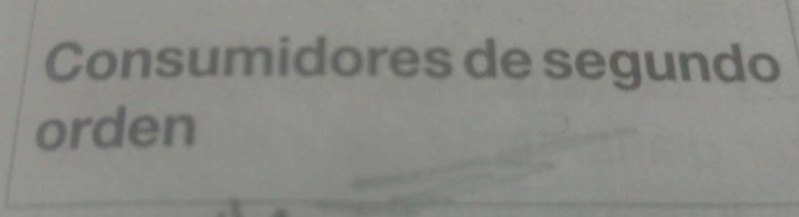 Consumidores de segundo 
orden