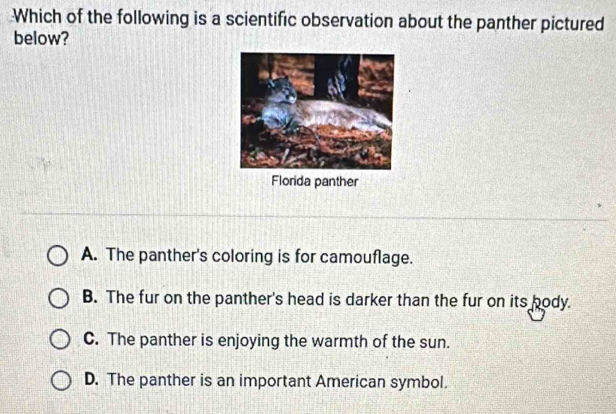 Which of the following is a scientific observation about the panther pictured
below?
Florda panther
A. The panther's coloring is for camouflage.
B. The fur on the panther's head is darker than the fur on its body.
C. The panther is enjoying the warmth of the sun.
D. The panther is an important American symbol.