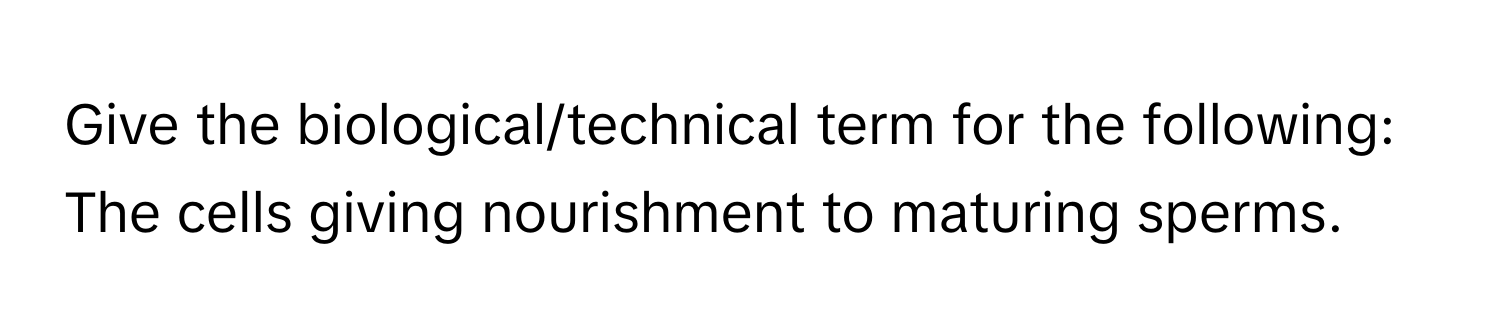 Give the biological/technical term for the following:
The cells giving nourishment to maturing sperms.