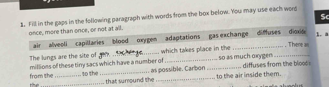 Sc 
1. Fill in the gaps in the following paragraph with words from the box below. You may use each word 
once, more than once, or not at all. 
air alveoli capillaries blood oxygen adaptations gas exchange diffuses dioxide 1. a 
The lungs are the site of _which takes place in the 
. There ar 
millions of these tiny sacs which have a number of so as much oxygen_ 
from the_ to the _as possible. Carbon _diffuses from the blood in 
the _that surround the _to the air inside them.