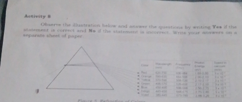 Activity 8 
Observe the illustration below and answer the questions by writing Yes if the 
statement is correct and No if the statement is incorrect. Write your answers on a 
separate sheet of paper