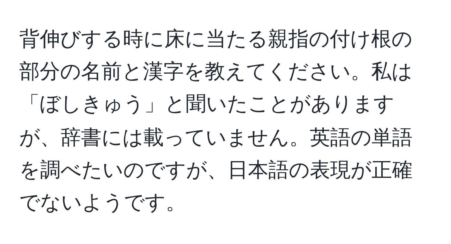 背伸びする時に床に当たる親指の付け根の部分の名前と漢字を教えてください。私は「ぼしきゅう」と聞いたことがありますが、辞書には載っていません。英語の単語を調べたいのですが、日本語の表現が正確でないようです。