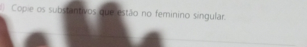 ) Copie os substantivos que estão no feminino singular.