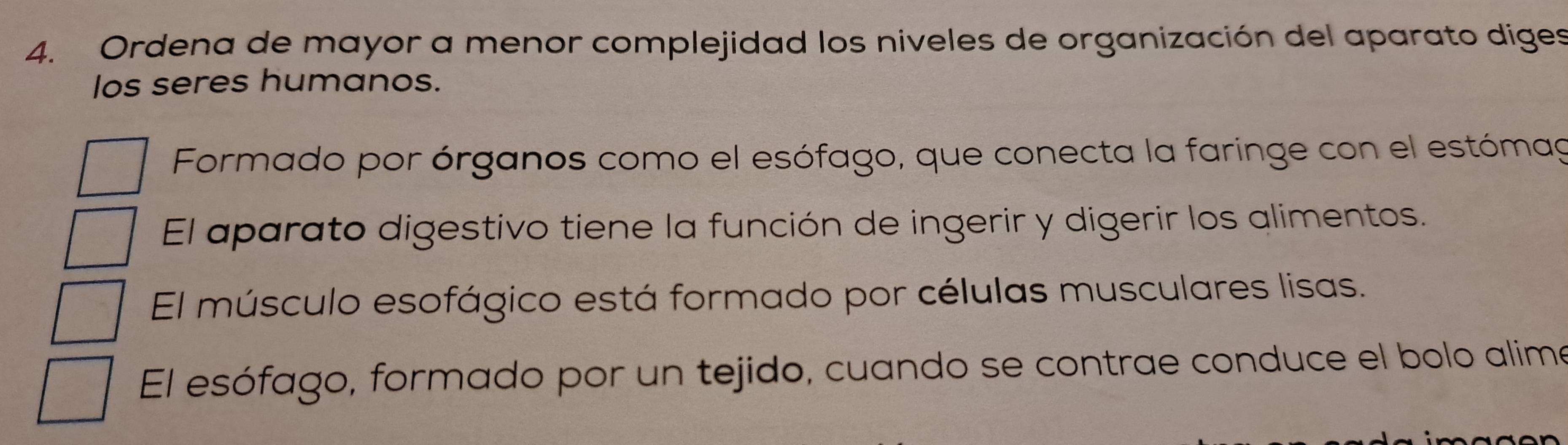 Ordena de mayor a menor complejidad los niveles de organización del aparato diges 
los seres humanos. 
Formado por órganos como el esófago, que conecta la faringe con el estómag 
El aparato digestivo tiene la función de ingerir y digerir los alimentos. 
El músculo esofágico está formado por células musculares lisas. 
El esófago, formado por un tejido, cuando se contrae conduce el bolo alime