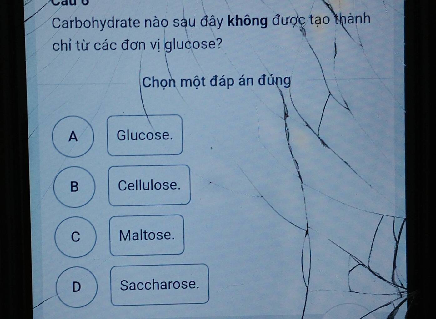 Cauo
Carbohydrate nào sau đây không được tạo thành
chỉ từ các đơn vị glucose?
Chọn một đáp án đúng
A Glucose.
B Cellulose.
C Maltose.
D Saccharose.