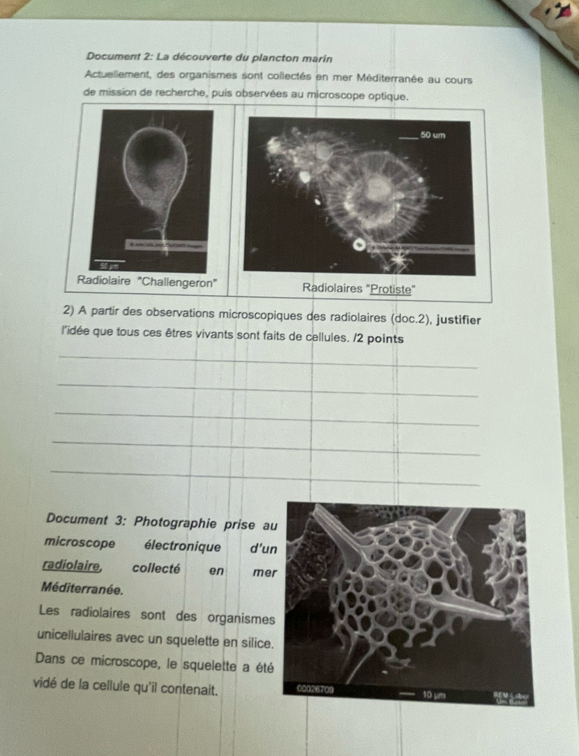 Document 2: La découverte du plancton marin 
Actuellement, des organismes sont collectés en mer Méditerranée au cours 
de mission de recherche, puis observées au microscope optique. 
Radiolaires "Protiste” 
2) A partir des observations microscopiques des radiolaires (doc.2), justifier 
l'idée que tous ces êtres vivants sont faits de cellules. /2 points 
_ 
_ 
_ 
_ 
_ 
_ 
_ 
_ 
_ 
_ 
_ 
_ 
_ 
_ 
_ 
_ 
_ 
Document 3: Photographie prise a 
microscope électronique d’u 
radiolaire, collecté en me 
Méditerranée. 
Les radiolaires sont des organisme 
unicellulaires avec un squelette en silice 
Dans ce microscope, le squelette a été 
vidé de la cellule qu'il contenait.