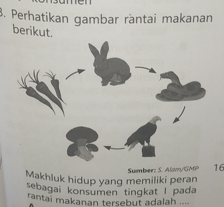 Perhatikan gambar räntai makanan 
berikut. 
Sumber: S. Alam/GMP 16
Makhluk hidup yang memiliki peran 
sebagai konsumen tingkat I pada 
rantai makanan tersebut adalah ....