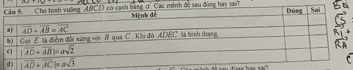 1y+1_ 
sau dùng hay sai?