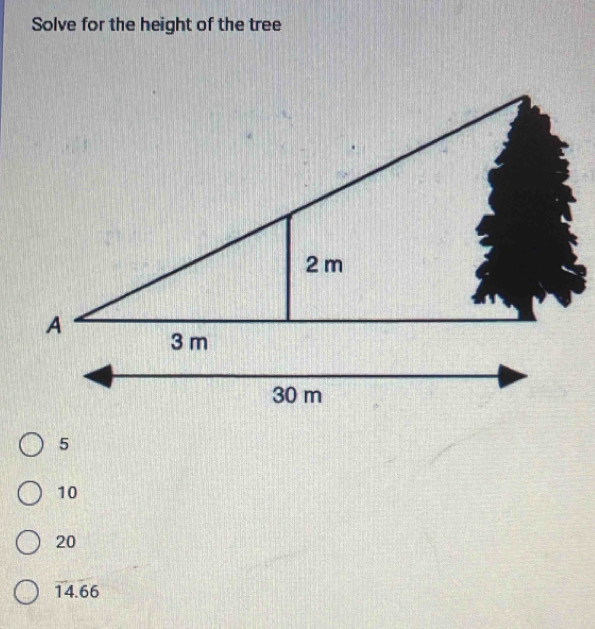 Solve for the height of the tree
10
20
14.66