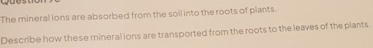 The mineral lons are absorbed from the soil into the roots of plants. 
Describe how these mineral ions are transported from the roots to the leaves of the plants.