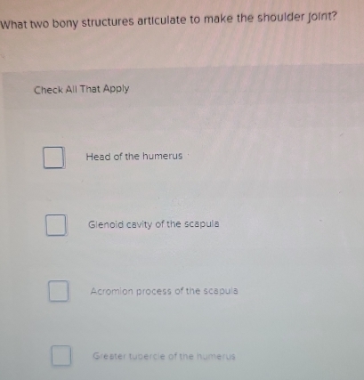 What two bony structures articulate to make the shoulder joint?
Check All That Apply
Head of the humerus
Glenoid cavity of the scapula
Acromion process of the scapula
Greater tupercie of the humerus
