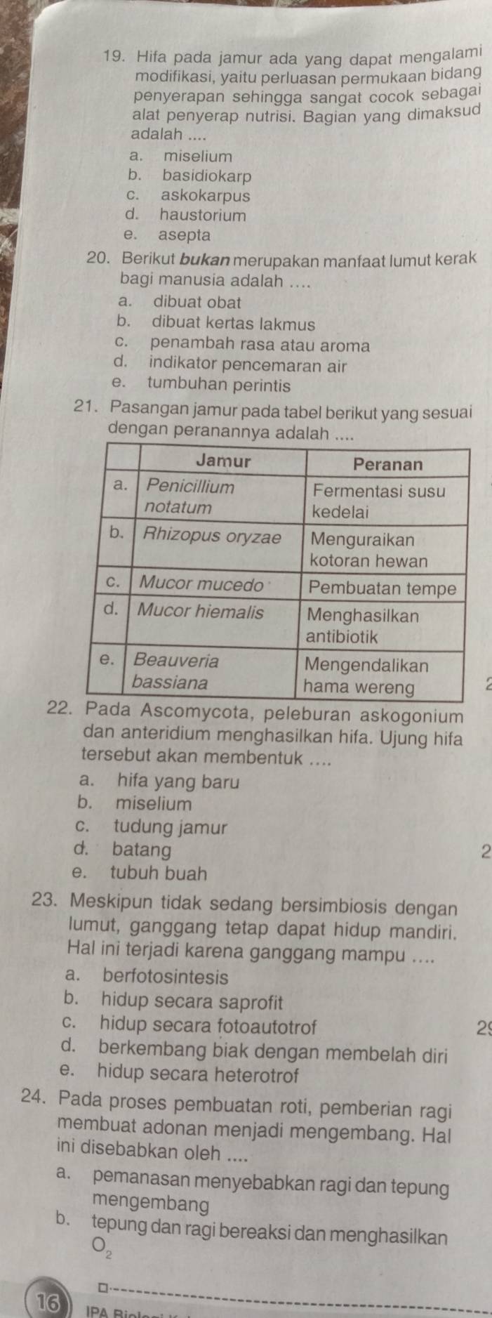 Hifa pada jamur ada yang dapat mengalami
modifikasi, yaitu perluasan permukaan bidang
penyerapan sehingga sangat cocok sebagai
alat penyerap nutrisi. Bagian yang dimaksud
adalah ....
a. miselium
b. basidiokarp
c. askokarpus
d. haustorium
e. asepta
20. Berikut bukan merupakan manfaat lumut kerak
bagi manusia adalah ....
a. dibuat obat
b. dibuat kertas lakmus
c. penambah rasa atau aroma
d. indikator pencemaran air
e. tumbuhan perintis
21. Pasangan jamur pada tabel berikut yang sesuai
dengan peranannya 
2mycota, peleburan askogonium
dan anteridium menghasilkan hifa. Ujung hifa
tersebut akan membentuk ....
a. hifa yang baru
b. miselium
c. tudung jamur
d. batang 2
e. tubuh buah
23. Meskipun tidak sedang bersimbiosis dengan
lumut, ganggang tetap dapat hidup mandiri.
Hal ini terjadi karena ganggang mampu ....
a. berfotosintesis
b. hidup secara saprofit
c. hidup secara fotoautotrof 2
d. berkembang biak dengan membelah diri
e. hidup secara heterotrof
24. Pada proses pembuatan roti, pemberian ragi
membuat adonan menjadi mengembang. Hal
ini disebabkan oleh ....
a. pemanasan menyebabkan ragi dan tepung
mengembang
b. tepung dan ragi bereaksi dan menghasilkan
O_2 
16