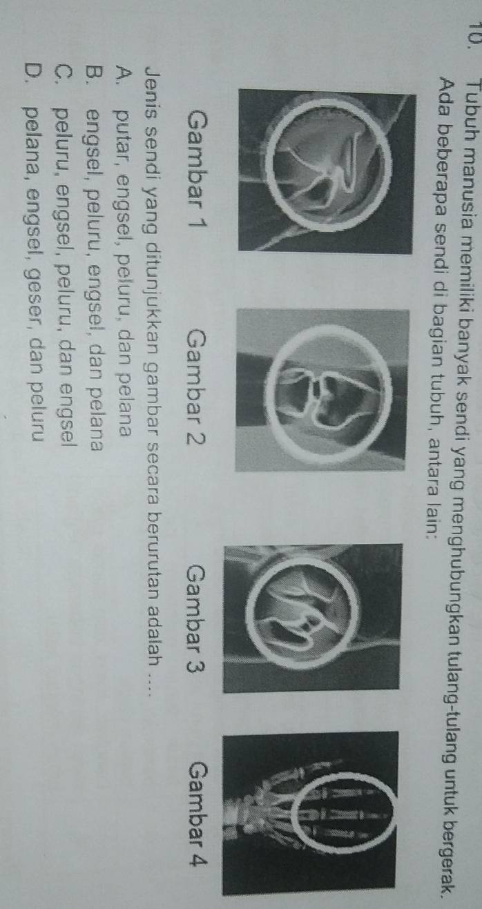 Tubuh manusia memiliki banyak sendi yang menghubungkan tulang-tulang untuk bergerak.
Ada beberapa sendi di bagian tubuh, antara lain:
Gambar 1 Gambar 2 Gambar 3 Gambar 4
Jenis sendi yang ditunjukkan gambar secara berurutan adalah ....
A. putar, engsel, peluru, dan pelana
B. engsel, peluru, engsel, dan pelana
C. peluru, engsel, peluru, dan engsel
D. pelana, engsel, geser, dan peluru