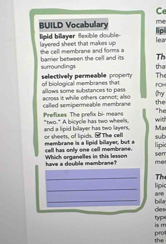 Ce 
BUILD Vocabulary 
me 
lipi 
lipid bilayer flexible double- 
layered sheet that makes up lea 
the cell membrane and forms a 
barrier between the cell and its Th 
surroundings tha 
selectively permeable property The 
of biological membranes that FOH 
allows some substances to pass (hy 
across it while others cannot; also 
called semipermeable membrane the 
Prefixes The prefix bi- means "he 
“two.” A bicycle has two wheels, with 
and a lipid bilayer has two layers, Ma 
or sheets, of lipids. [ The cell sub 
membrane is a lipid bilayer, but a lipi 
cell has only one cell membrane. 
Which organelles in this lesson sem 
have a double membrane? mer 
_ 
The 
_ 
lipic 
are 
_ 
bila 
des 
type 
is m 
prot 
the