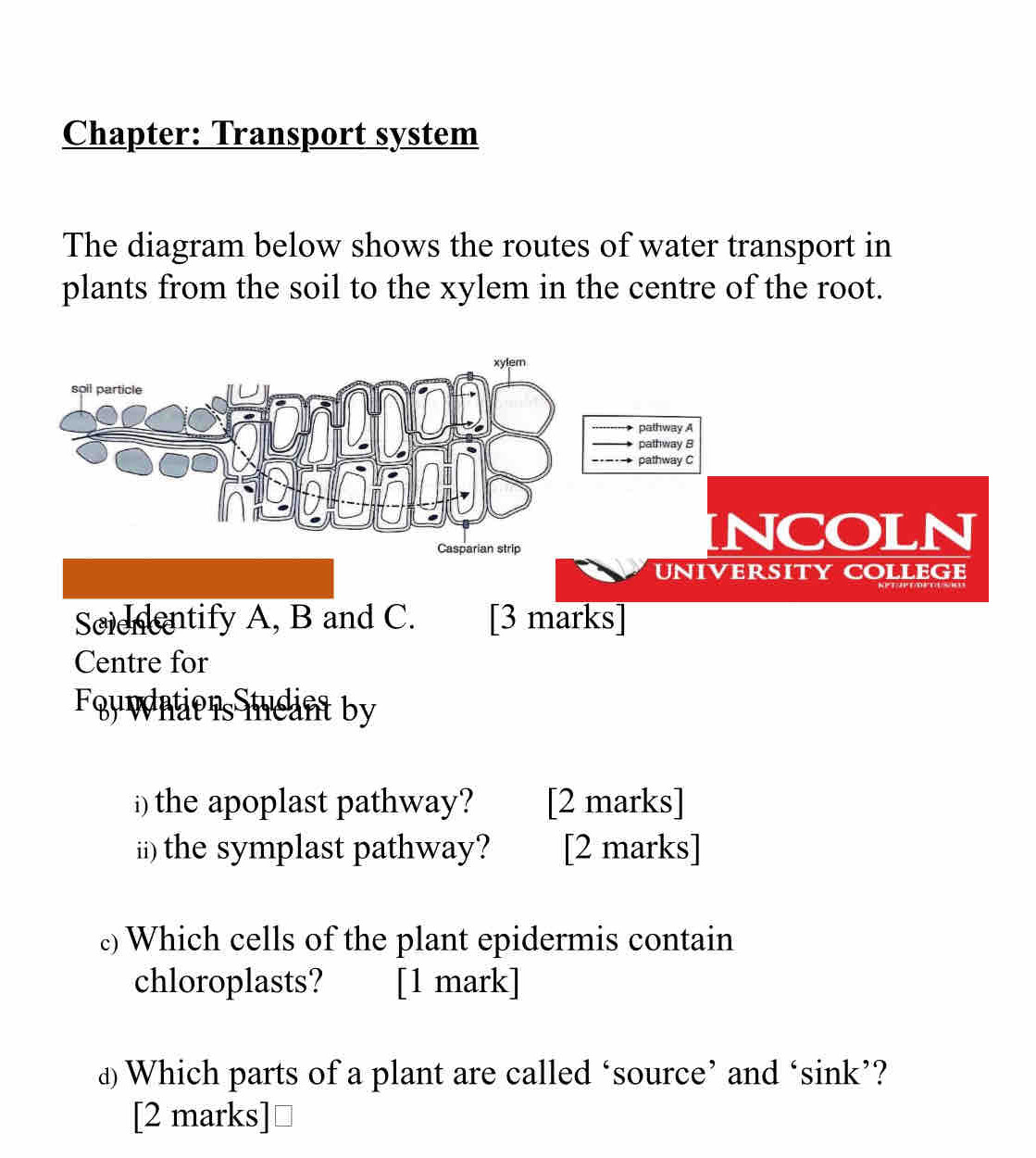 Chapter: Transport system 
The diagram below shows the routes of water transport in 
plants from the soil to the xylem in the centre of the root. 
Scienentify A, B and C. [3 marks] 
Centre for 
Fouwntiors inc int by 
i) the apoplast pathway? [2 marks] 
ii) the symplast pathway? [2 marks] 
c) Which cells of the plant epidermis contain 
chloroplasts? [1 mark] 
d Which parts of a plant are called ‘source’ and ‘sink’? 
[2 marks]