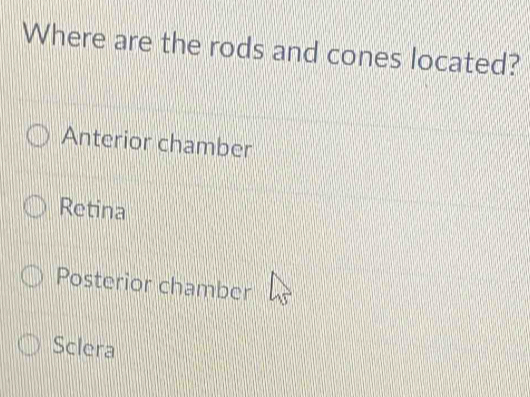 Where are the rods and cones located?
Anterior chamber
Retina
Posterior chamber
Sclera