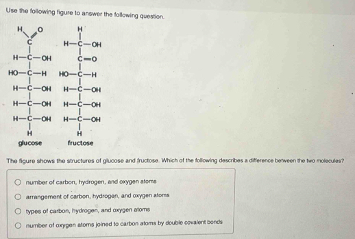 Use the following figure to answer the following question.
45^((circ)°
H-C-OH H-beginarray)r H C-OH C-OH C-Oendarray
frac □  |
HO-C-H HO-C-H
| □  □ 
H-C-OH H-C-OH
H-C-OH H-C-OH
H-beginarrayr | | | |endarray -OH H-beginarrayr | | |endarray ^1|^| 
glucose fructose
The figure shows the structures of glucose and fructose. Which of the following describes a difference between the two molecules?
number of carbon, hydrogen, and oxygen atoms
arrangement of carbon, hydrogen, and oxygen atoms
types of carbon, hydrogen, and oxygen atoms
number of oxygen atoms joined to carbon atoms by double covalent bonds