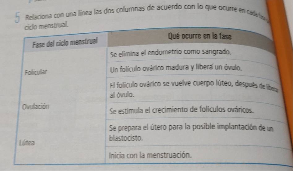 Relaciona con una línea las dos columnas de acuerdo con lo que ocurre en cada