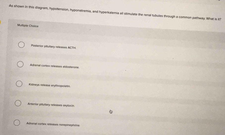As shown in this diagram, hypotension, hyponatremia, and hyperkalemia all stimulate the renal tubules through a common pathway. What is it?
Multiple Choice
Posterior pituitary releases ACTH.
Adrenal cortex releases aldosterone.
Kidneys release erythropoletin.
Anterior pituitary releases oxytocin.
Adrenal cortex releases norepinephrine.